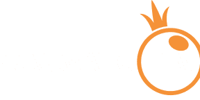 MasterCard partner logo